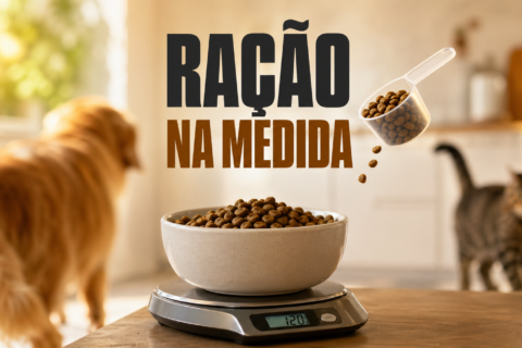 Quantidade ideal de ração: como calcular para cães e gatos (por peso e idade)