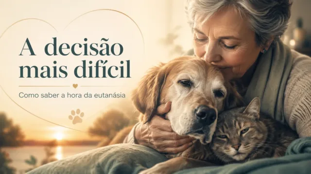 A decisão mais difícil que um tutor enfrenta e como saber se chegou a hora da eutanásia