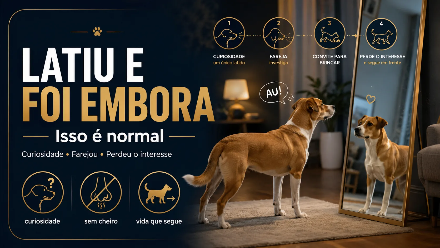 O cachorro que latiu uma vez e foi embora está funcionando perfeitamente