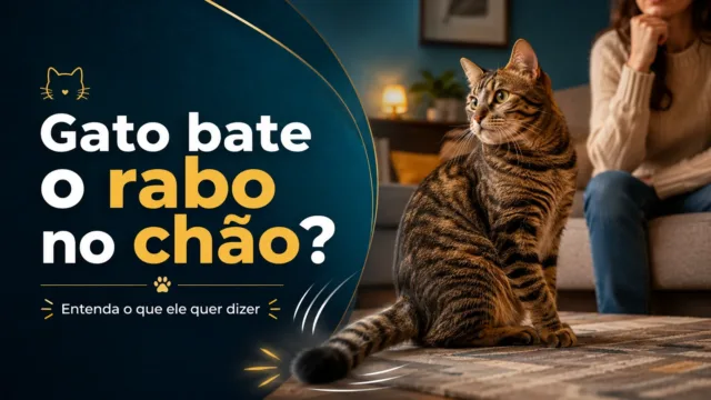 O que o seu gato está tentando te dizer quando bate o rabo no chão