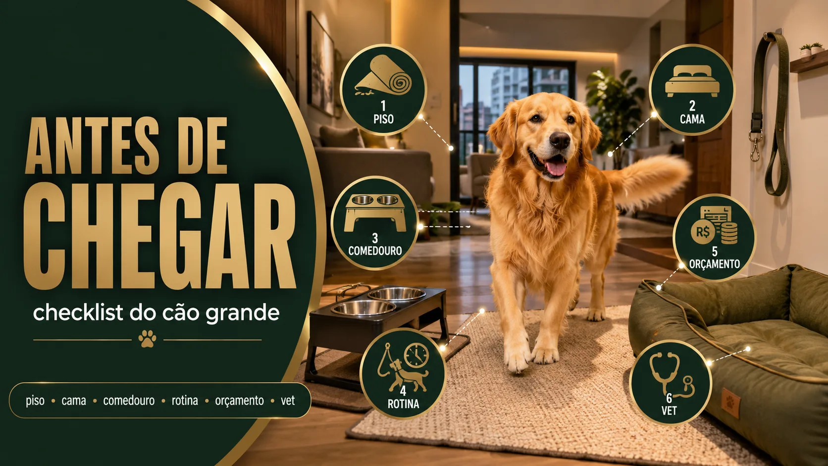 O que preparar antes de o cão chegar em casa
