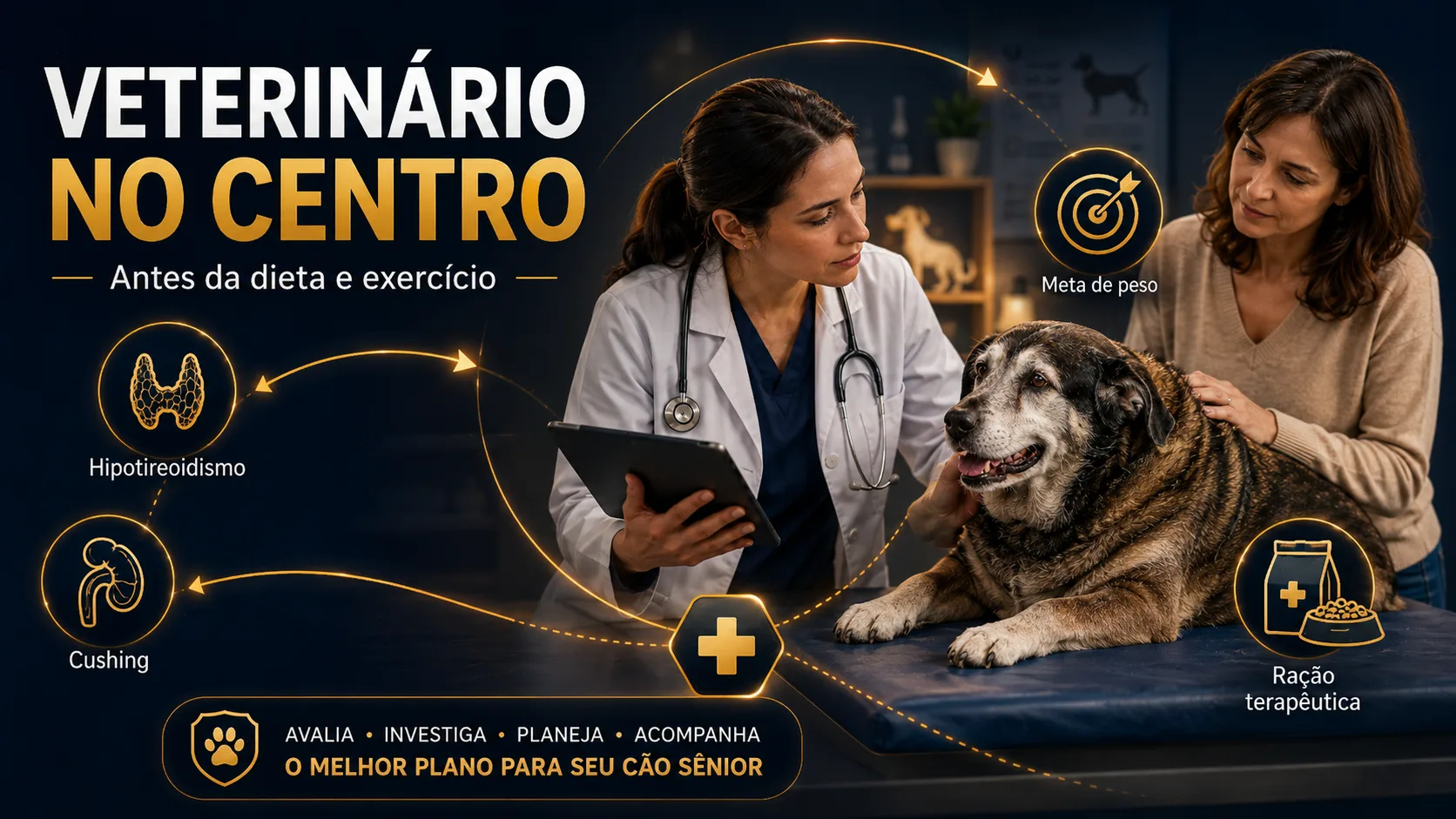 O veterinário no centro do plano — e por que isso não é opcional