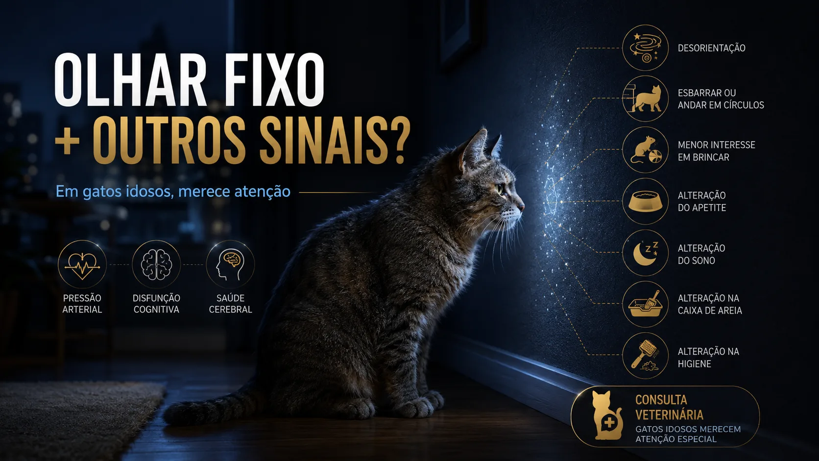 Outros sinais que pedem atenção quando aparecem junto com o olhar fixo