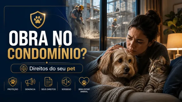 Pet em obra de condomínio — quais são seus direitos quando a reforma ameaça o bem-estar do seu animal