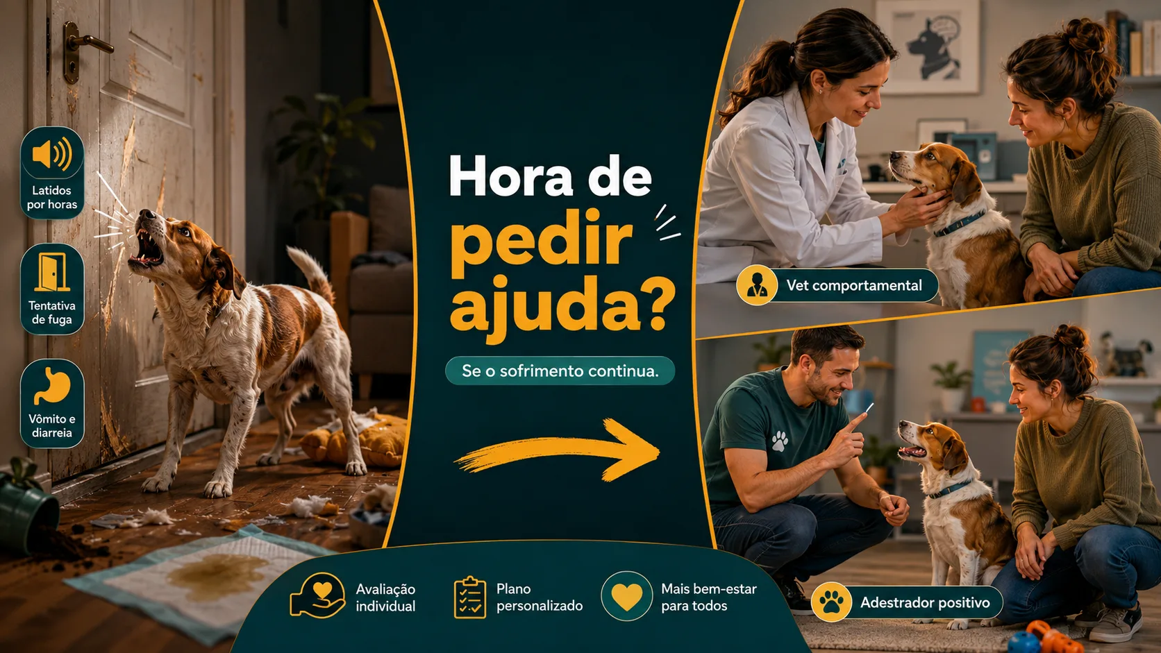 Quando é hora de chamar um profissional