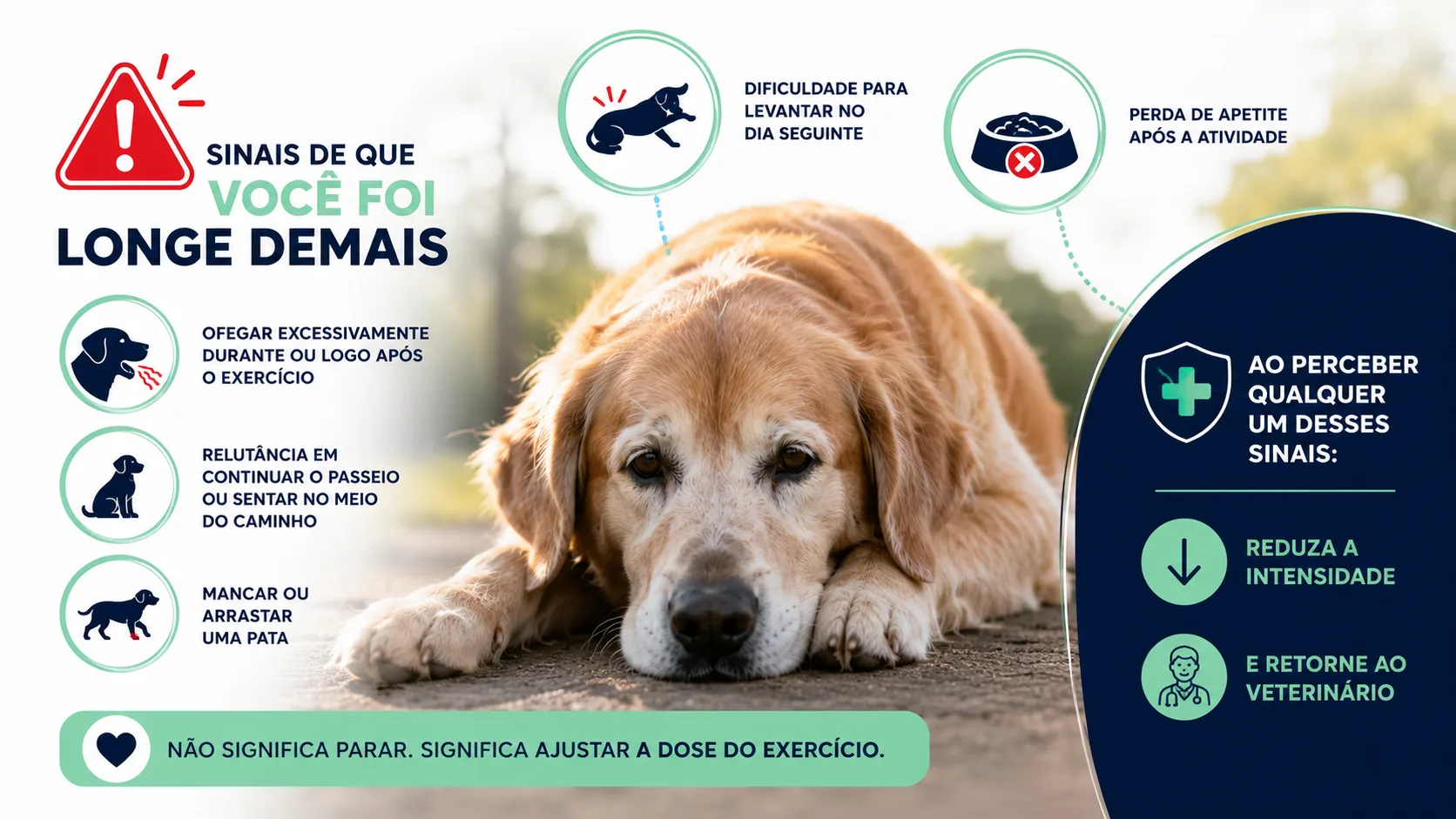 Sinais de que você foi longe demais